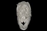 Carved Quartz Crystal Dinosaur Skull #227035-2